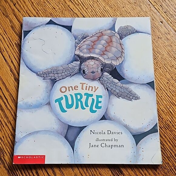 One Tiny Turtle Paperback Book | Charming Discount Bookstore Read - Picture 1 of 3